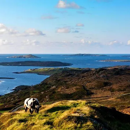 No 4 Quay Prázdninový dům Clifden
